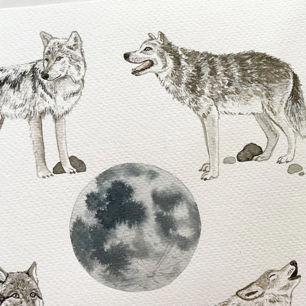 Wolf Moon Watercolor Painting — Amy Richards Illustration